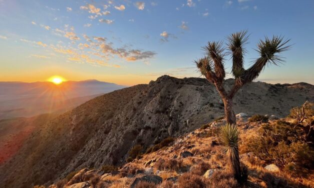 Resolution to Protect National Parks Cemented