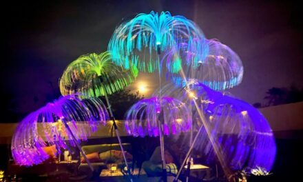 Experience Art in the Park in the Dark