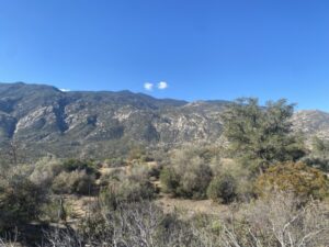 Explore Martinez Canyon Trail on Day Hike
