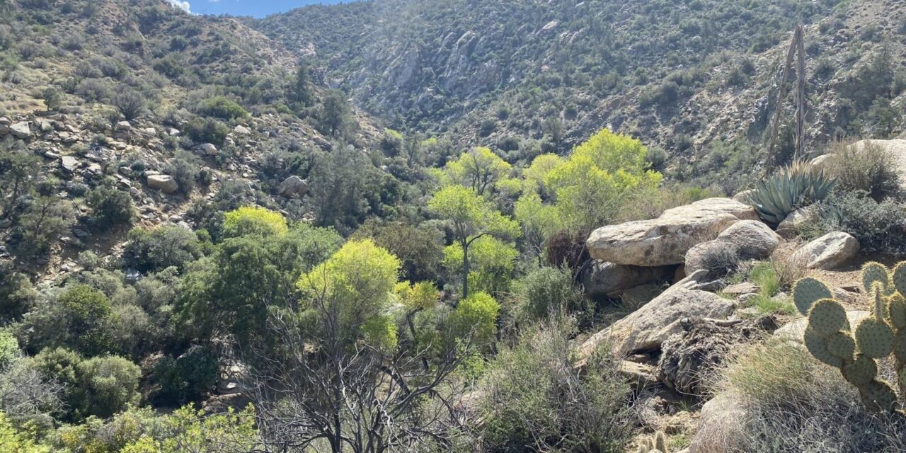 Explore Martinez Canyon Trail on Day Hike