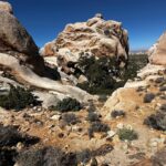 Ryan Mountain Trail Gives Hikers Panoramic Views