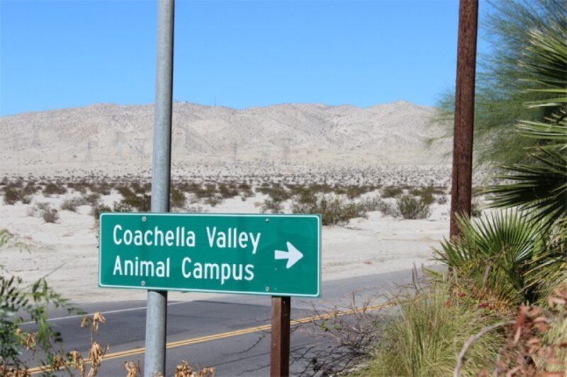 Coachella Valley Animal Campus Reopens