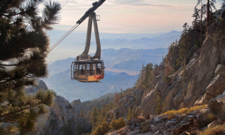 Escape Heat with Tramway Summer Pass