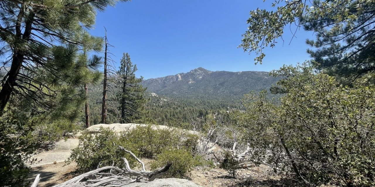 Escape Heat on Idyllwild Perimeter Trail