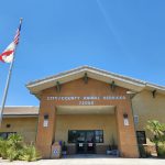 RivCo Animal Shelters Now Open on Sundays