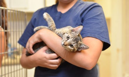 Wallis Lauded for Animal Welfare Commitment