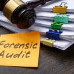 Steve Sanchez Calls for Independent Forensic Audits