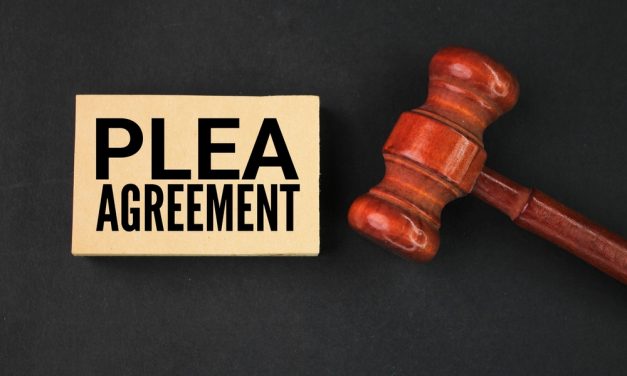 Steven Hernandez Plea Bargain Surprise