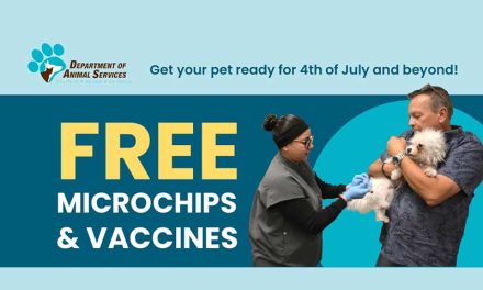 Free Microchips and Vaccines for RivCo Families