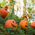 SoCal Cities Among Best for Halloween 2025