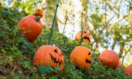 SoCal Cities Among Best for Halloween 2025