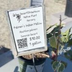 Don’t Hesitate, Buy the Plant [Opinion]