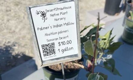 Don’t Hesitate, Buy the Plant [Opinion]