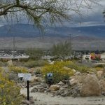 Let Our Sacred Grounds Gardens Inspire Yours