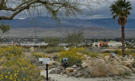 Let Our Sacred Grounds Gardens Inspire Yours