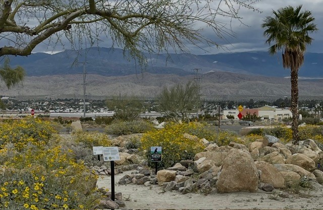 Let Our Sacred Grounds Gardens Inspire Yours