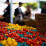 DHS Welcomes Certified Farmers Market