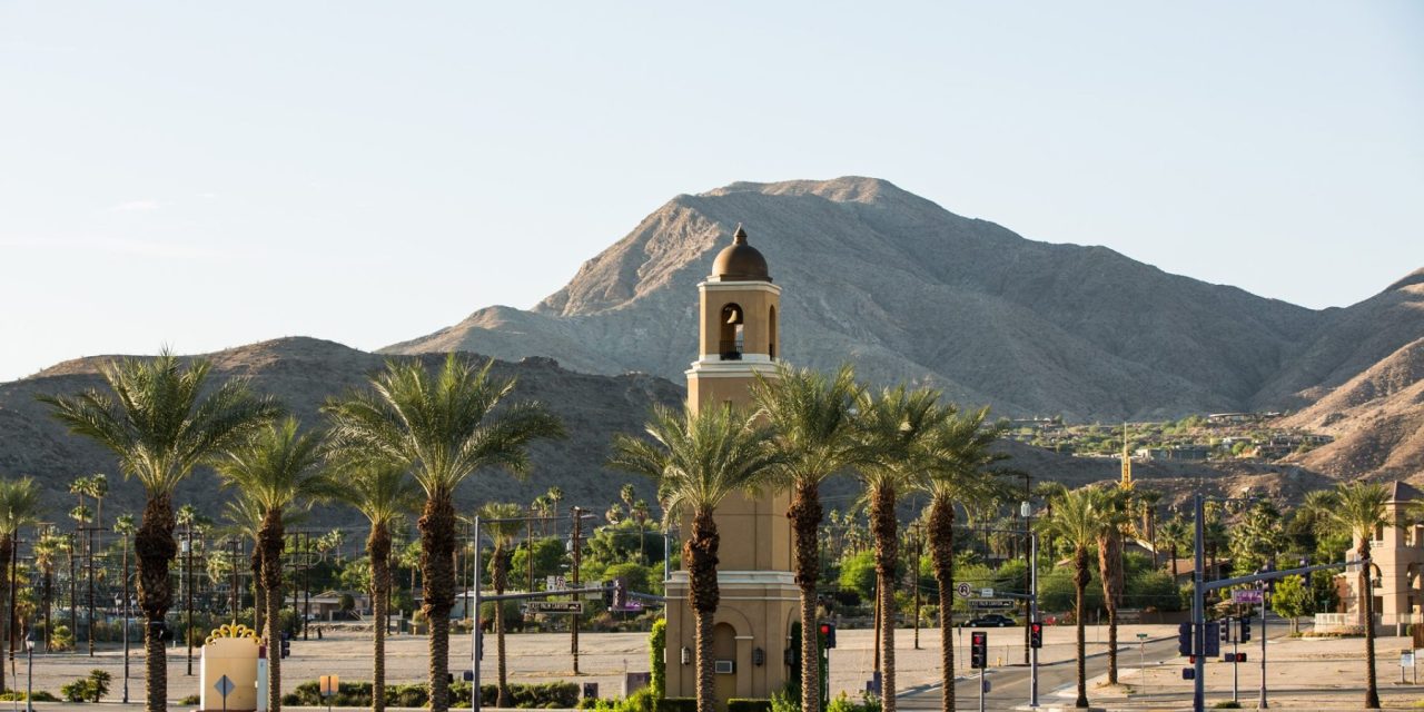 ‘No Reportable Action’ in Cat City