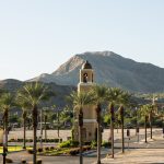 ‘No Reportable Action’ in Cat City