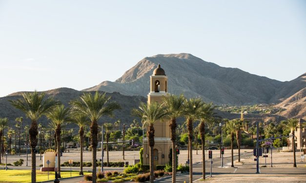 ‘No Reportable Action’ in Cat City