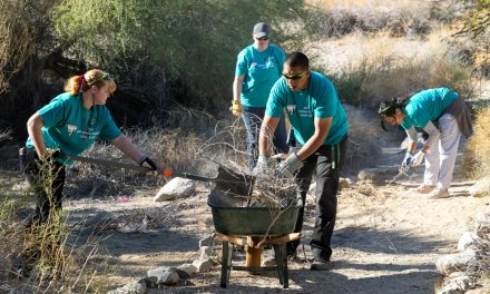 National Public Lands Day Cleanup Set in Palm Desert