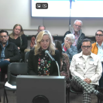 Christina Gordon Chosen to Fill Vacancy on City Council