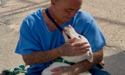 RivCo Animal Services Starts Dog Foster Prison Program