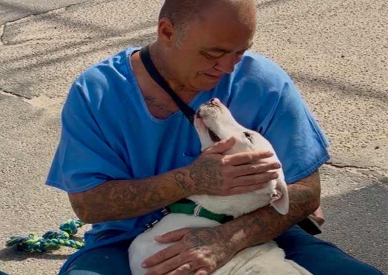RivCo Animal Services Starts Dog Foster Prison Program