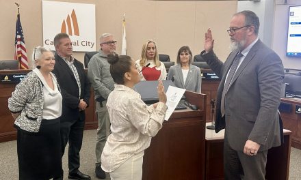 Andrew Firestine Understands Vision, Goals of City Council