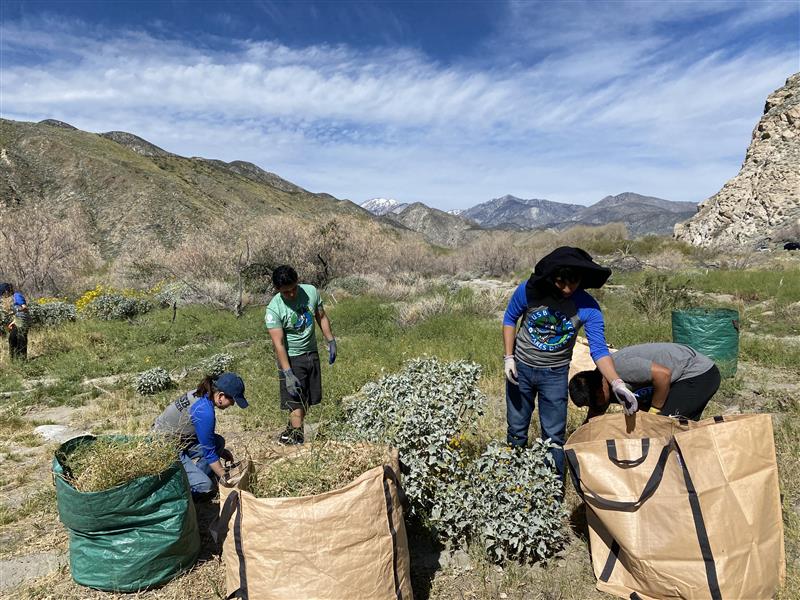 Coyote Cares Day Leaves Lasting Impact in Coachella Valley