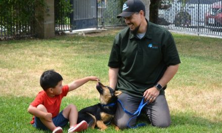 RivCo Animal Services Reports Significant Success