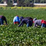 Farmworker Women’s Health Act Advances
