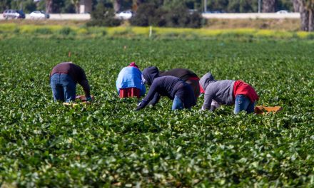 Farmworker Women’s Health Act Advances