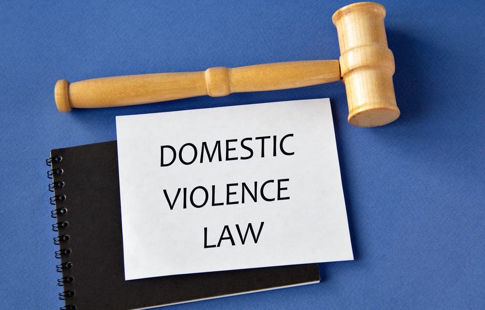 Domestic Violence Law Fails in Assembly