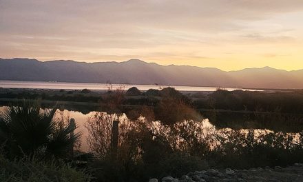 Salton Sea Plans Face Critical Flaw