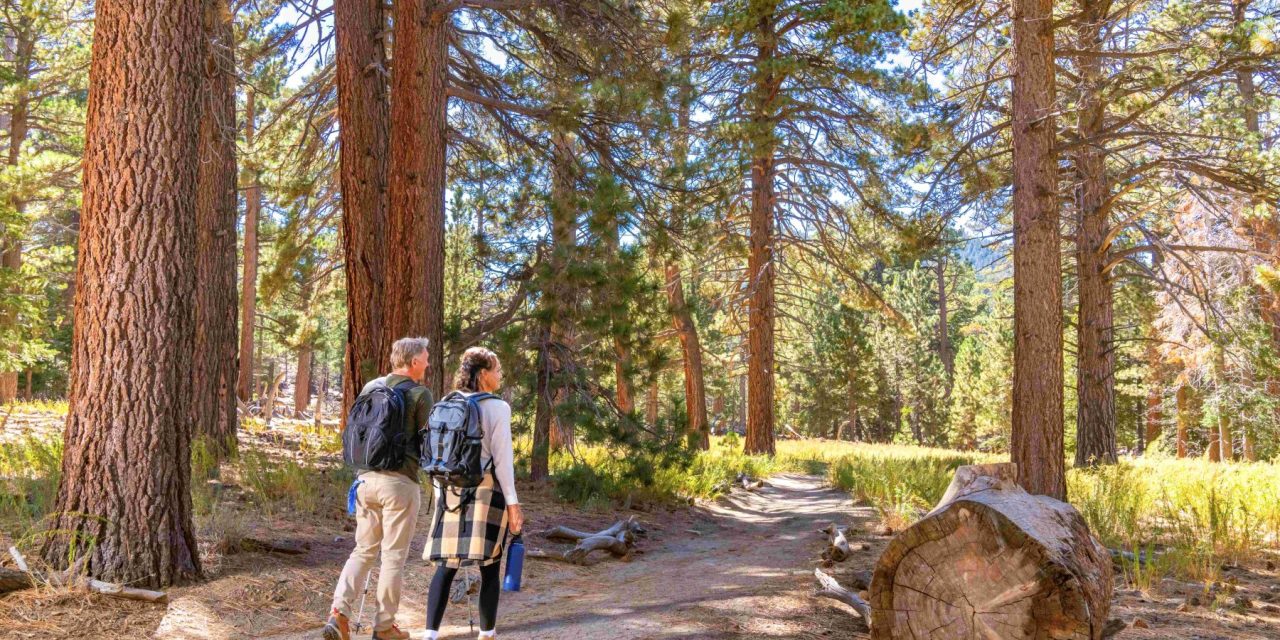 Start Your Summer Season at Aerial Tram