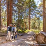Start Your Summer Season at Aerial Tram