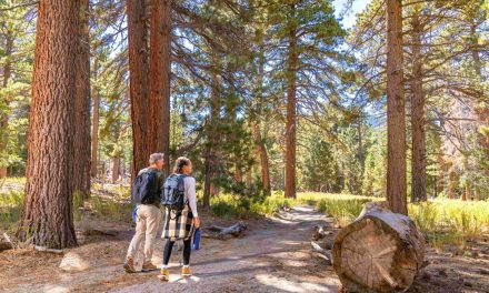 Start Your Summer Season at Aerial Tram