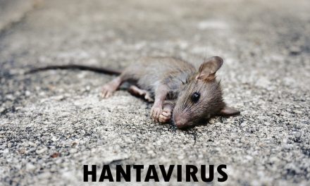 4 Californians Being Monitored for Hantavirus