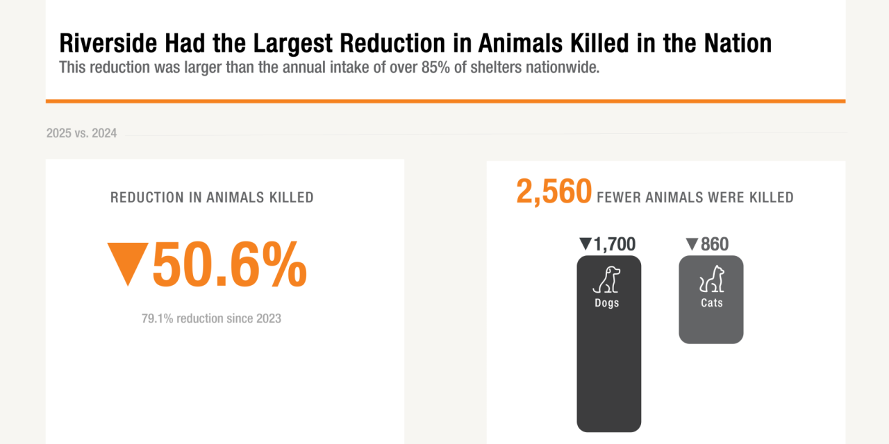 RivCo Leads Nation in Reducing Shelter Pet Euthanasia
