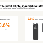 RivCo Leads Nation in Reducing Shelter Pet Euthanasia