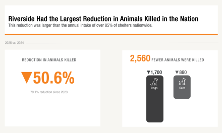 RivCo Leads Nation in Reducing Shelter Pet Euthanasia
