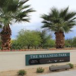 Candlelight Vigil to Focus on Healthcare Cuts