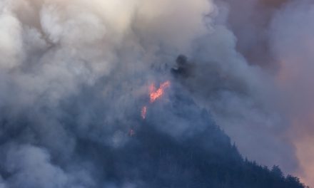 Reflecting on Esperanza Fire, Lives Lost [Opinion]
